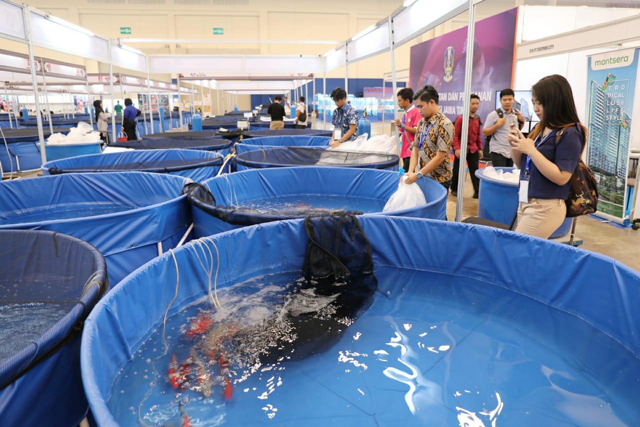 Nusatic 2018, Mewujudkan Indonesia Eksportir Ikan Hias Terbesar di Dunia