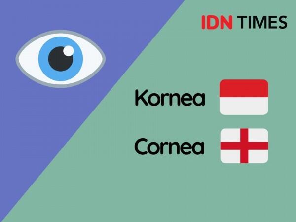 10 Kata Bahasa Indonesia yang Mirip Banget sama Bahasa Inggris