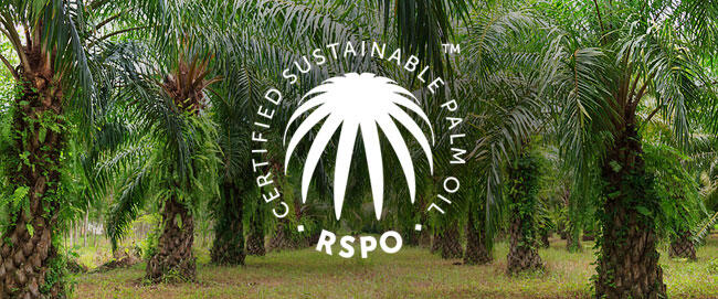 Stop Work Order RSPO Untuk Sawit Berkelanjutan
