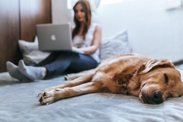 9 Fakta Unik Insomnia, Gangguan Tidur Ini Bisa Aja Mengancam Nyawa