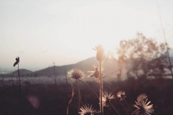 10 Spot Instagramable di Ponorogo, Sudah Pernah ke Sini Belum?