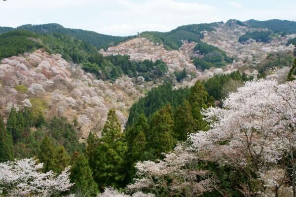Liburan di Jepang Jangan Lupa Mampir ke 7 Desa Wisata Menarik Ini