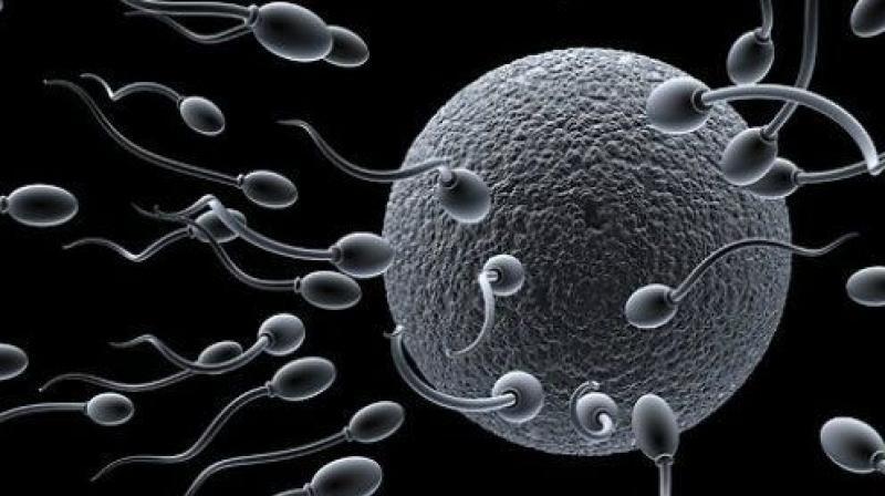 6 Langkah Menjadikan Sperma Anda Lebih Sehat dan Subur