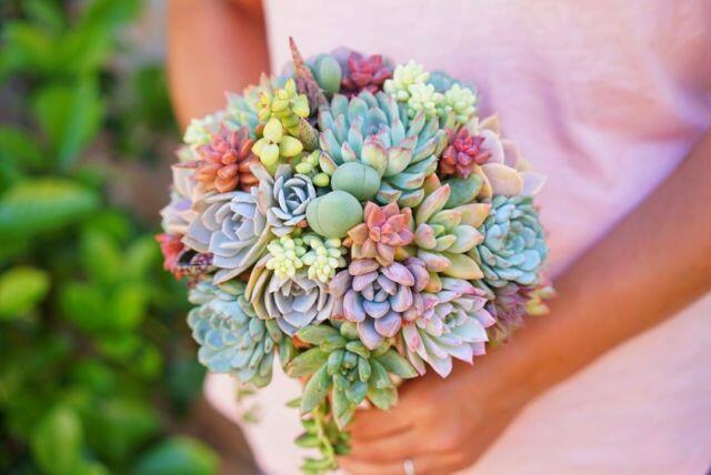 Nggak Harus Bunga, 20 Buket Kaktus untuk Pengantin Ini Pun Sama Cantiknya