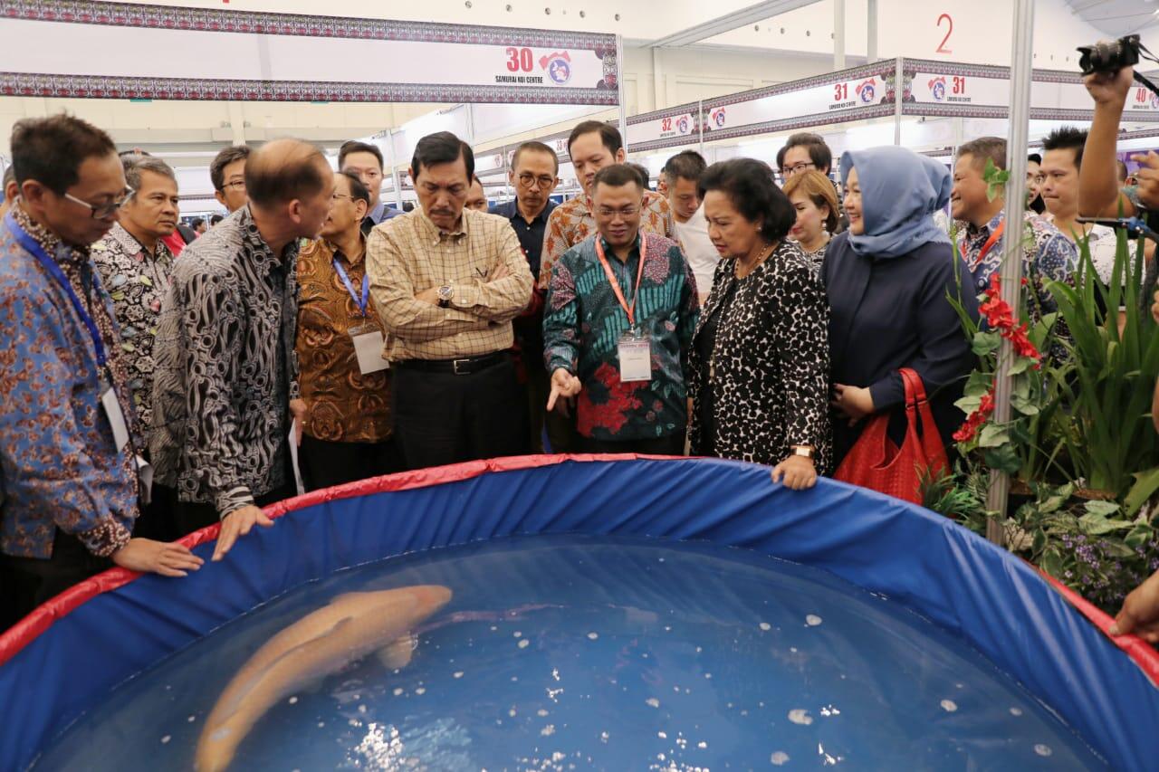 Menko Luhut: Indonesia Bisa Jadi Eksportir Ikan Hias Terbesar di Dunia