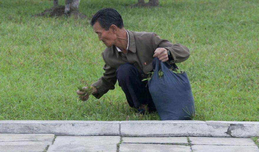 Bikin Sedih, 12 Foto Terlarang di Korea Utara Ini Bocor ke Internet