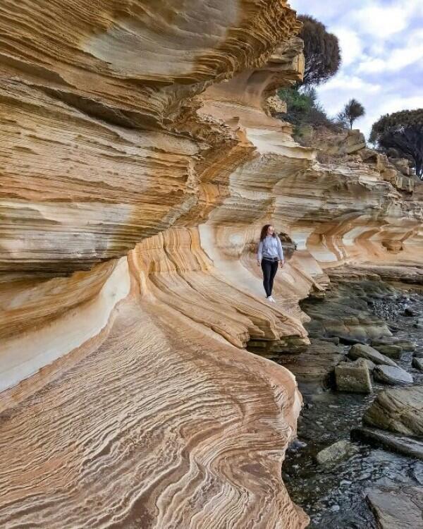 Eloknya 8 Wisata Alam di Tasmania Ini Bisa Bikin Jatuh Cinta!