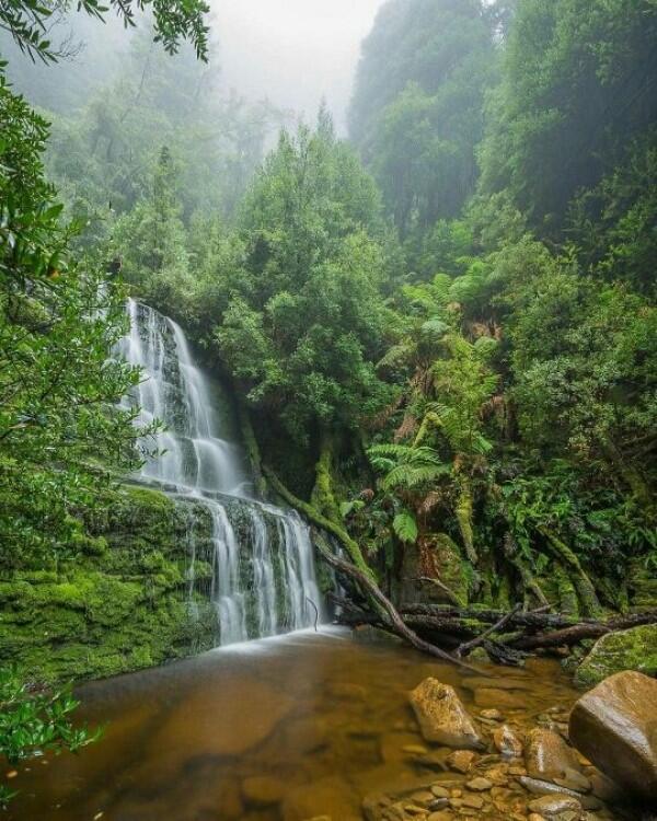 Eloknya 8 Wisata Alam di Tasmania Ini Bisa Bikin Jatuh Cinta!