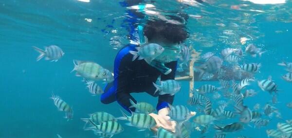 10 Destinasi Belitung yang “Memaksamu” ke Sini, Super Bagus!