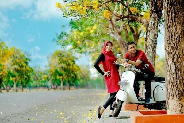 Selain Surabaya, 5 Kota Ini Juga Dihiasi Bunga Tabebuya Lho!