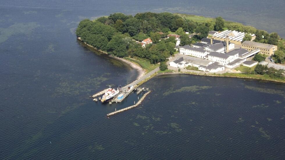 Denmark Buang Immigrant Ke Pulau Terpencil Tempat Penelitian Penyakit Hewan