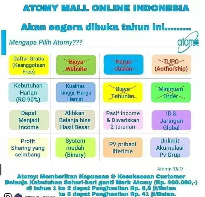 BISNIS ONLINE ATOMY