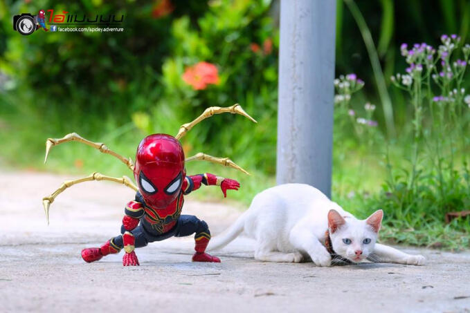 Kocak! 10 Foto Jika Spider-Man Bersahabat Dengan Kucing