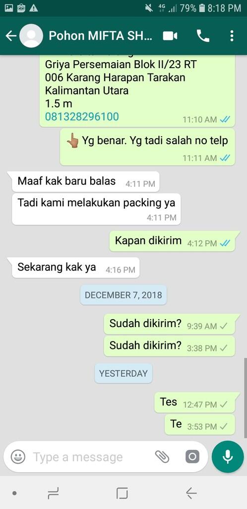 Penipuan atas nama miftashop_christmas IG Pohon Natal termurah