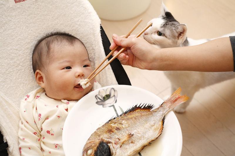 Bingung Menu Mpasi untuk Anak? Ini 5 Rekomendasi Ikan Yang Aman Untuk Mpasi Anak