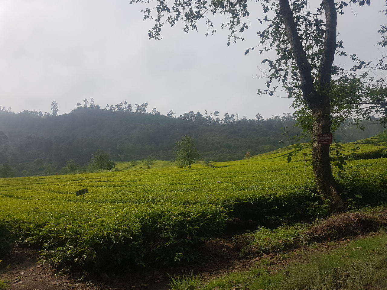 Beberapa tempat kekinian di Bandung 