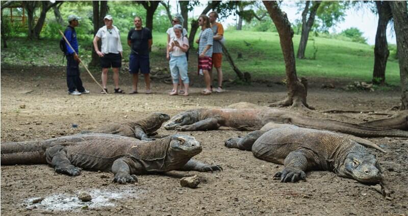Tarif Masuk ke Taman Nasional Komodo Dinaikkan