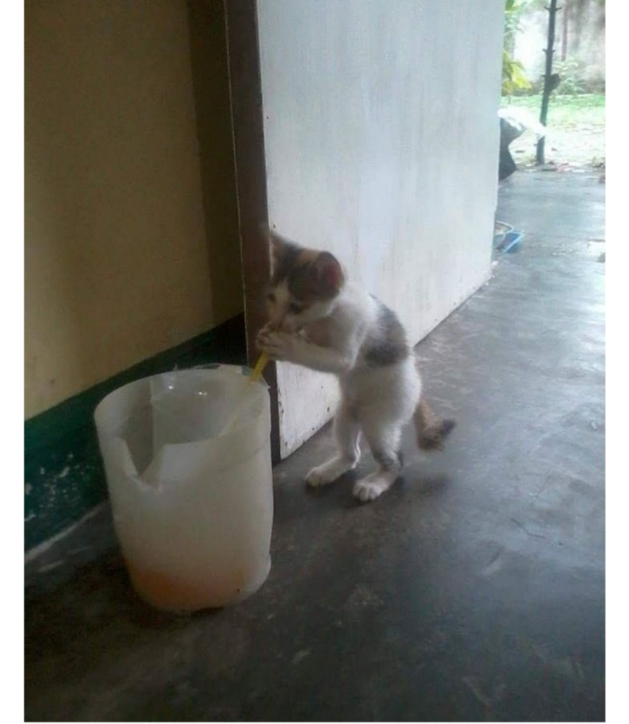 10 Meme Lucu Yang Akan Membuat Humor Kalian Level Up! Hingga Ke Level 10!