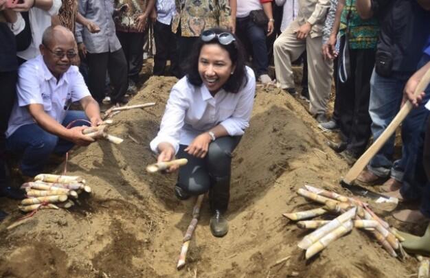Utang BUMN Rp 5.000 Triliun Hoax, Begini Penjelasan Menteri Rini