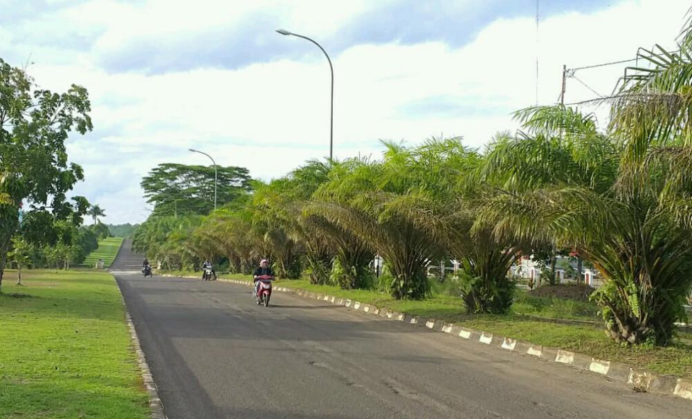 Terjadi lagi, Kabel Lampu Jalan Lingkar Pemkab Banyuasin Hilang