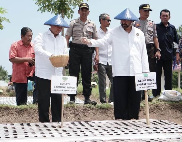 Surya Paloh Ingin Swasembada Bawang Putih
