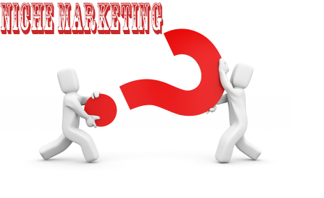 Apaitu Niche Marketing?