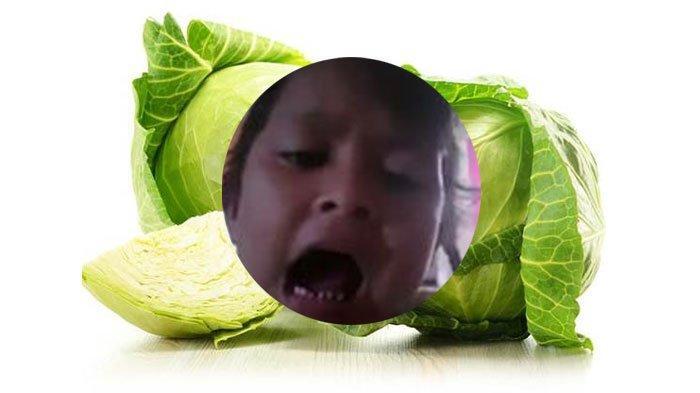  Yang perlu ente tahu tentang sayur kol~
