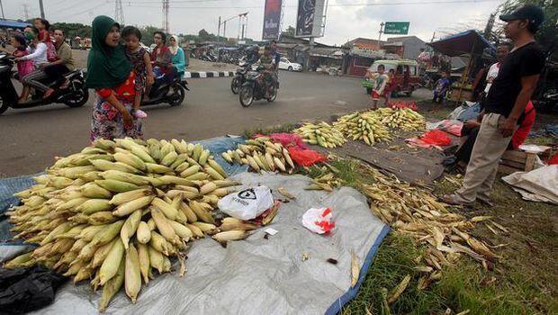 Menjelang Tahun Baru, Pedagang-pedagang Ini Sering Muncul Dadakan