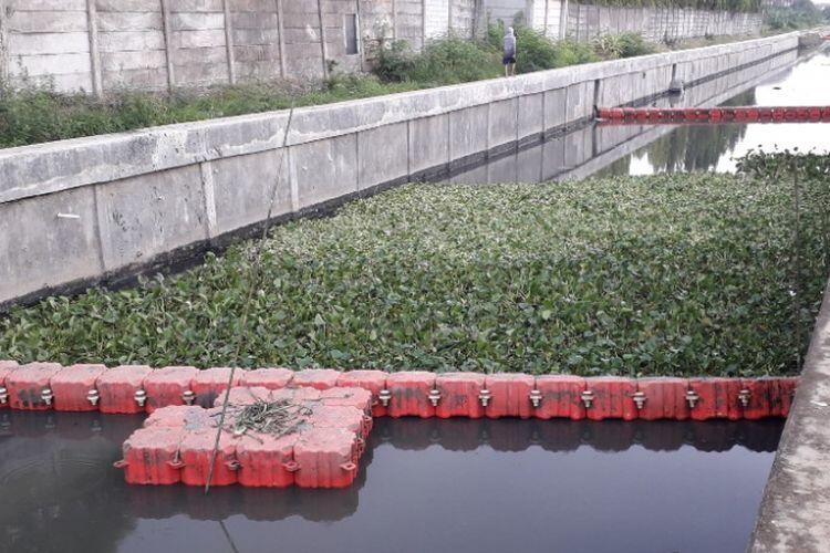 Selain &quot;Katanya&quot; Bisa Membersihkan Sungai, Manfaat Eceng Gondok Bisa Buat Apa?