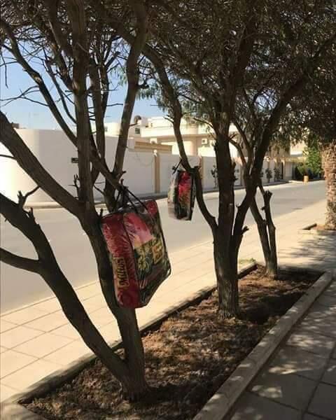 Keunikan Saudi