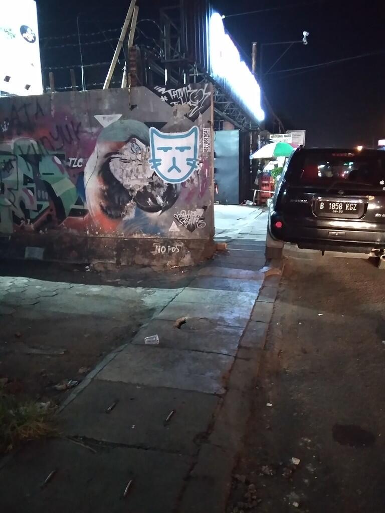 Simbol kucing dijalan apa makna nya