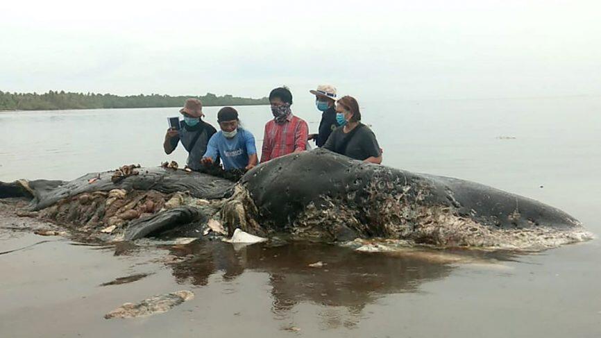 Eropa Larang Penggunaan Plastik Sekali Pakai, Indonesia Kapan?