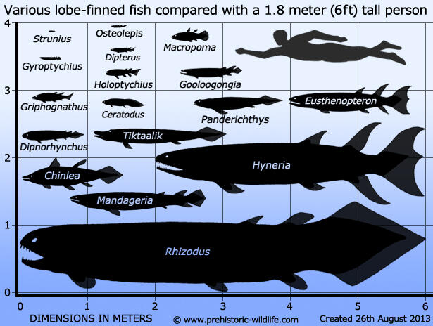 Merajalelanya Ikan di Seluruh Penjuru Perairan - Part 4: Devonian