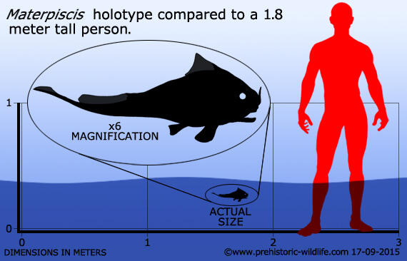 Merajalelanya Ikan di Seluruh Penjuru Perairan - Part 4: Devonian