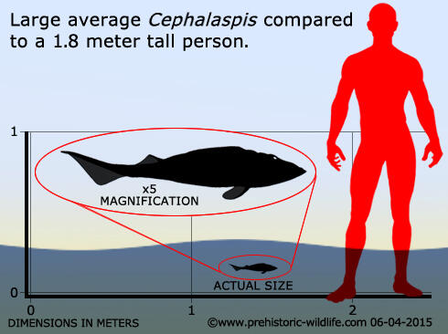 Merajalelanya Ikan di Seluruh Penjuru Perairan - Part 4: Devonian