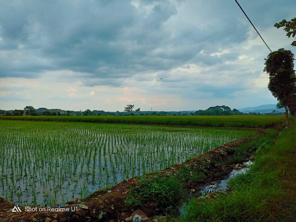 Ini Nih Enaknya Liburan Ditemenin Sama Realme U1