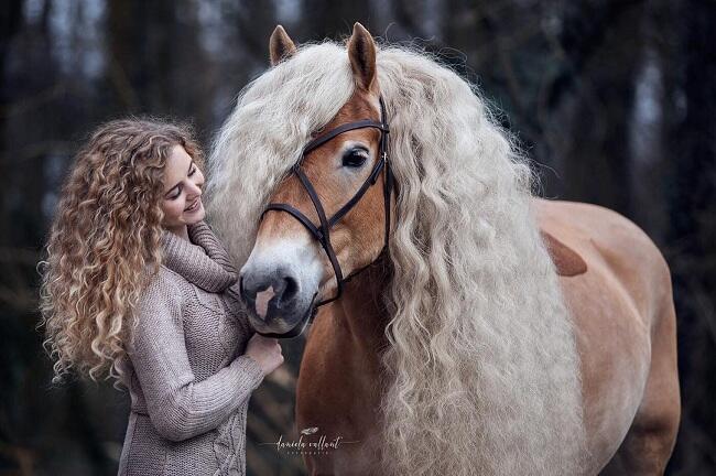 Punya Rambut Seperti Rapunzel, Kuda Cantik ini Dapat Banyak Penggemar