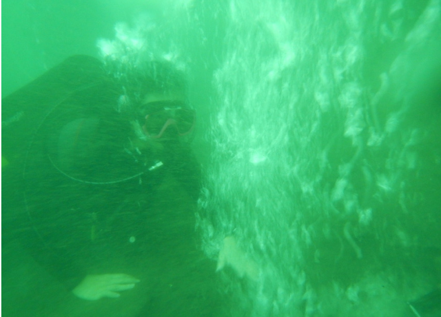 Masih Open Water Diver uda diving kedalaman 48 meter