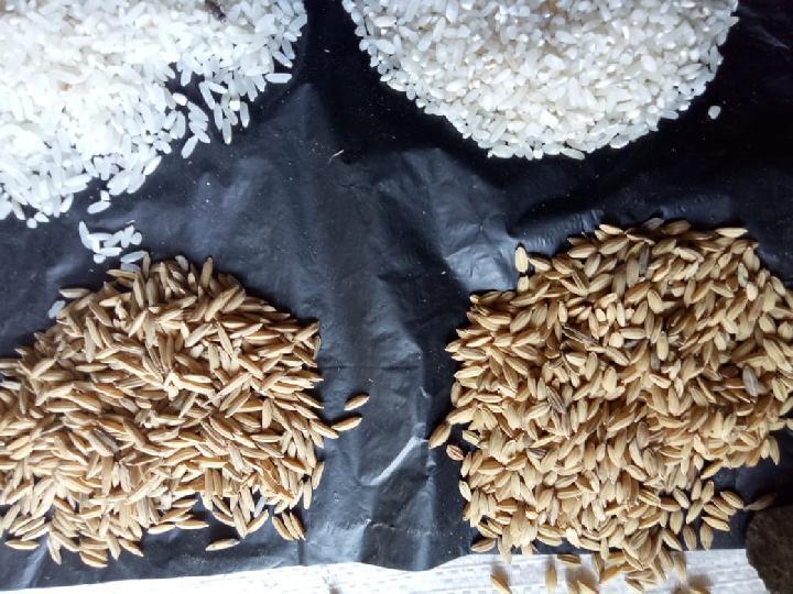 Harga Beras Naik, Kementan: Masih Ada yang Rp 8.500 per Kg.