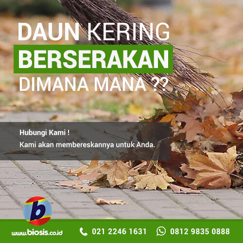 info kajian tabligh akbar di istiqlal ahad 6 januari 2019