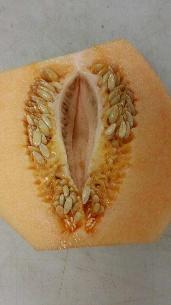 Ini benda benda yang mirip anuan kita di kehidupan sehari-hari