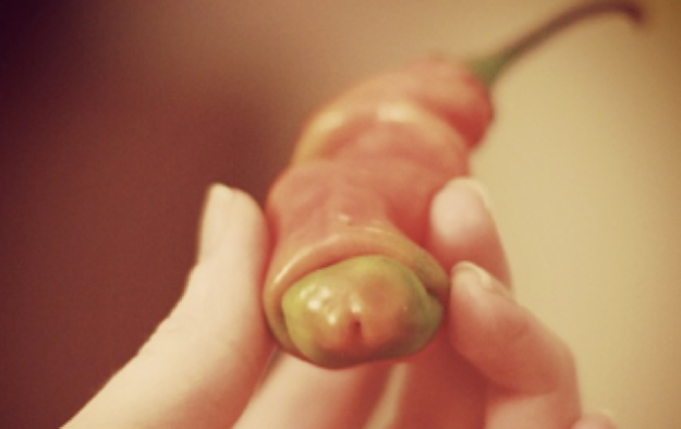 Ini benda benda yang mirip anuan kita di kehidupan sehari-hari