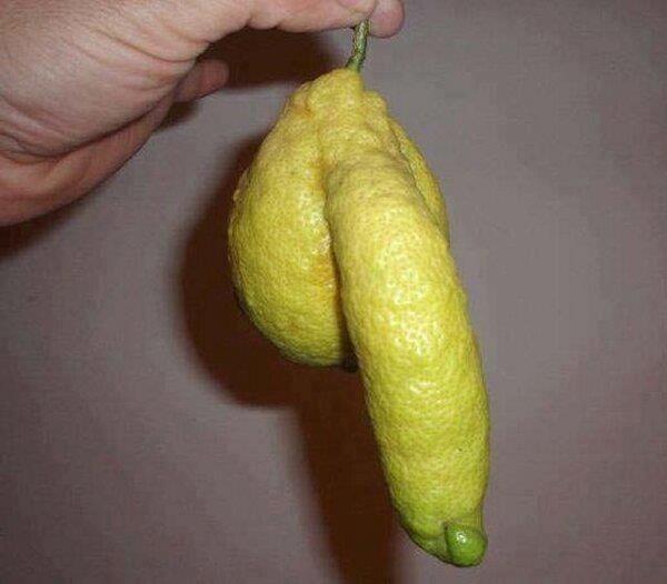 Ini benda benda yang mirip anuan kita di kehidupan sehari-hari