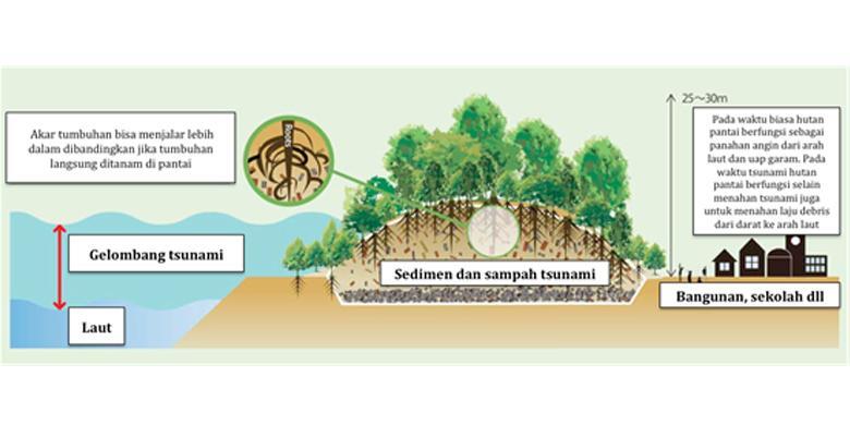 Cukupkah Dengan Teknologi Dapat &quot;Menahan&quot; Tsunami?