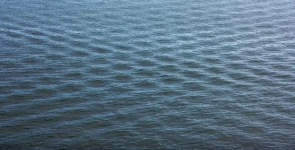 Penting! 7 Informasi Ini Mungkin Bisa Selamatkan Nyawa Anda dan Orang Lain