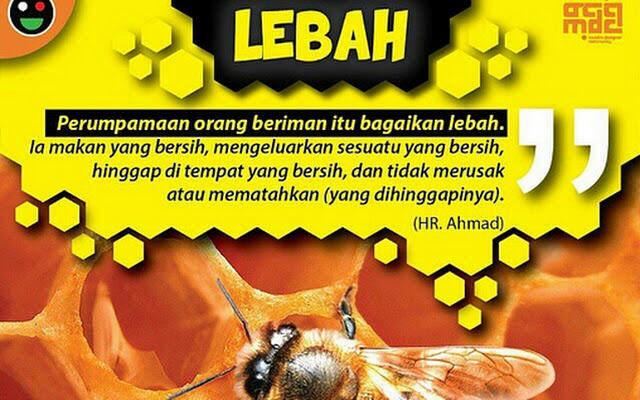 1.000 Pemuda Muslim Kumpulkan Sampah Tahun Baru di Inggris