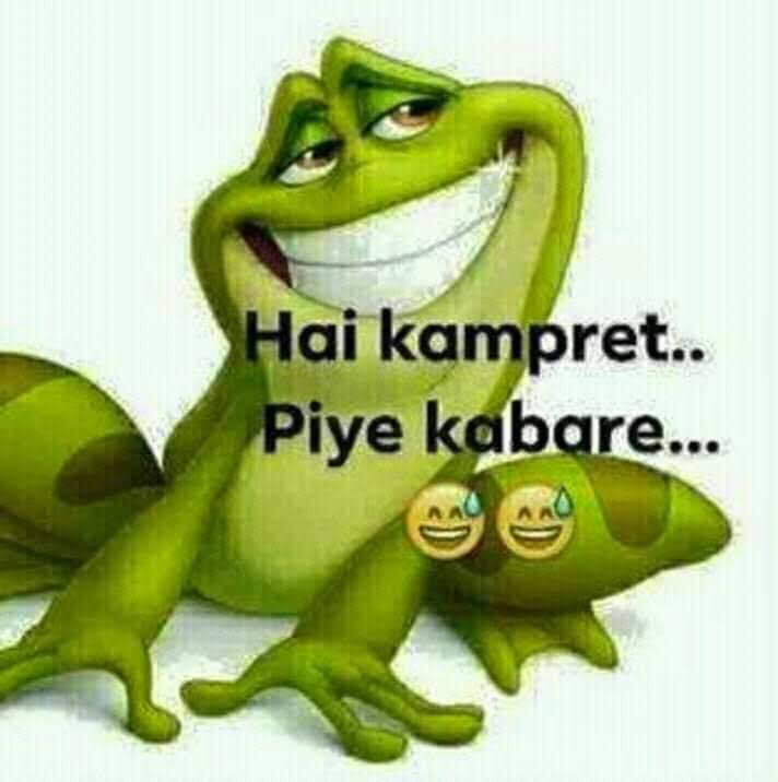Kampret Jadi Kecebong
