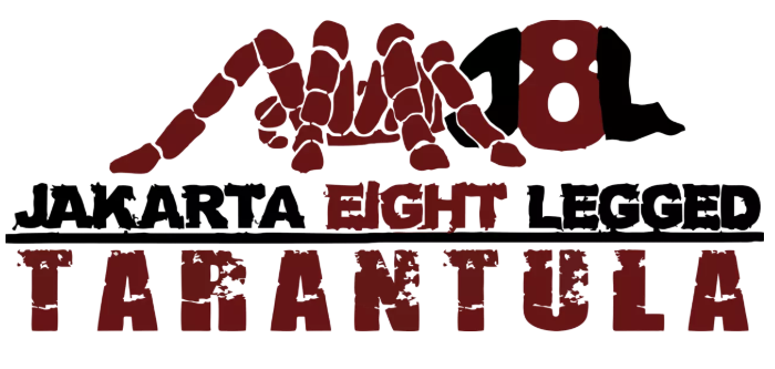 Jakarta Eight Legged - Komunitas yang Dibangun dari Kecintaan pada Tarantula