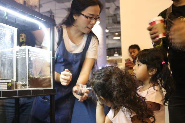 Jakarta Eight Legged - Komunitas yang Dibangun dari Kecintaan pada Tarantula