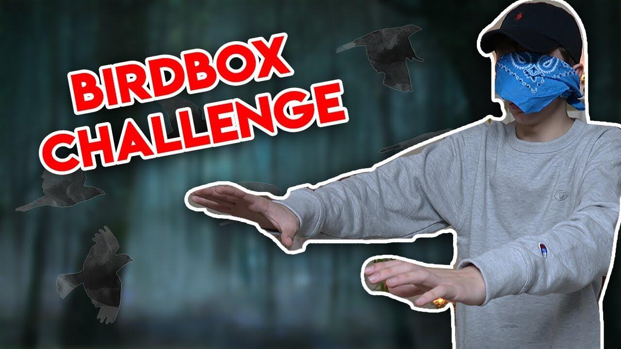 ‘Bird Box Challenge’ Satu Lagi Tren “Bahaya” Yang Viral